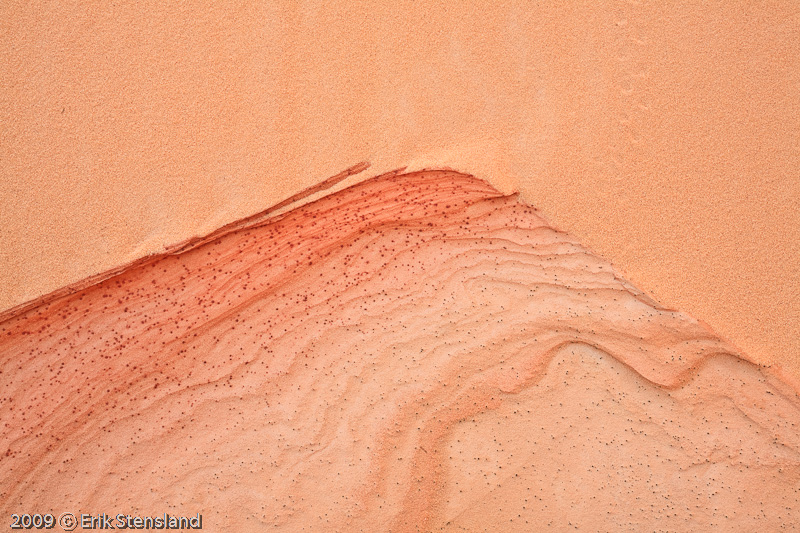mouse, tracks, sand, dune, sandstone,  photo